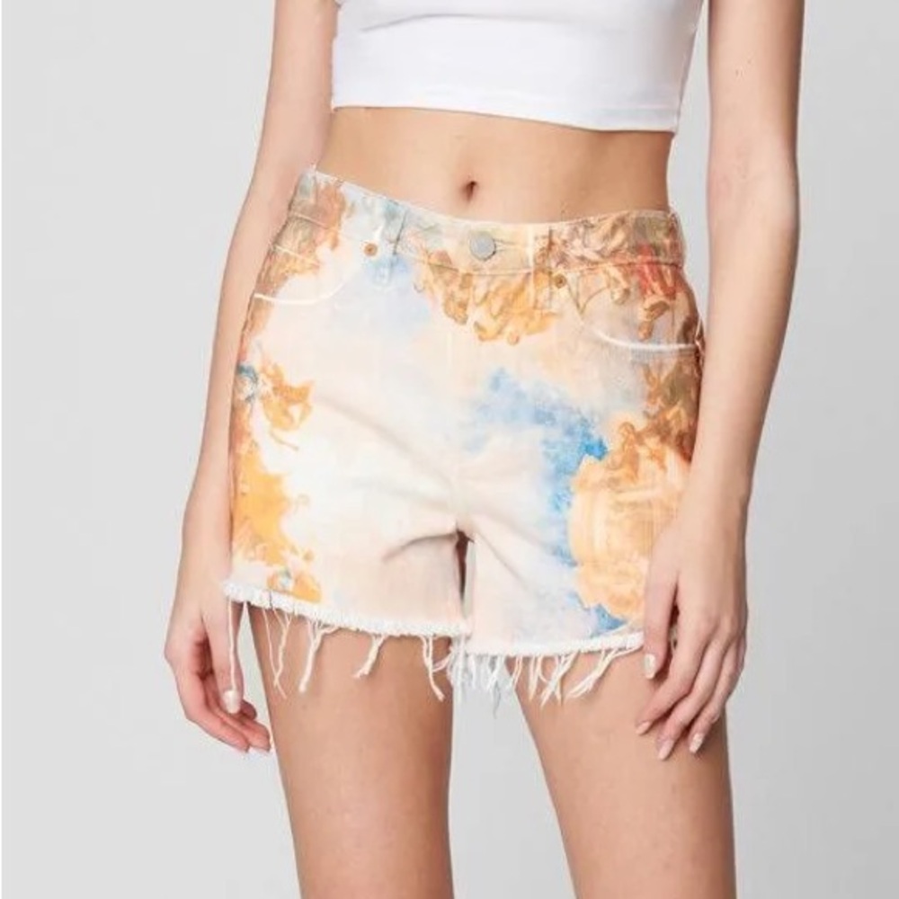 NWT Blank Nyc Shorts Blank Nyc Denim Vintage Jean Shorts